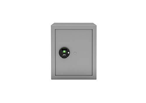 Godrej Forte Pro 40 Litres Biometric Safe Locker for Home & Office with Optical Finger Print Sensor (Light Grey)