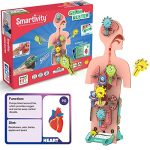 Smartivity Human Body STEM DIY Fun Toys for Kids 6 to 12, 20 Cards Learn About Organs, Functions, Health & Diet, Best Rakhi Gift Toy for Boys & Girls Age 6-8-10-12, Science Toy, Educational Based Activity Game