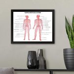 GADGETS WRAP Printed Photo Frame Matte Painting for Home Office Studio Living Room Decoration (11x9inch Black Framed) – Human Body Anatomy