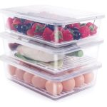 TAZLYN refrigerator storage containers for storage fridge container freeze storage box container coriander storage container for fridge organiser storage boxes Stackable (plastic 3000ml pack of 3)