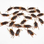 Hetkrishi Fake Cockroach Practical Jokes And Prank Trick Toys (Brown, Pack Of 5), Kids